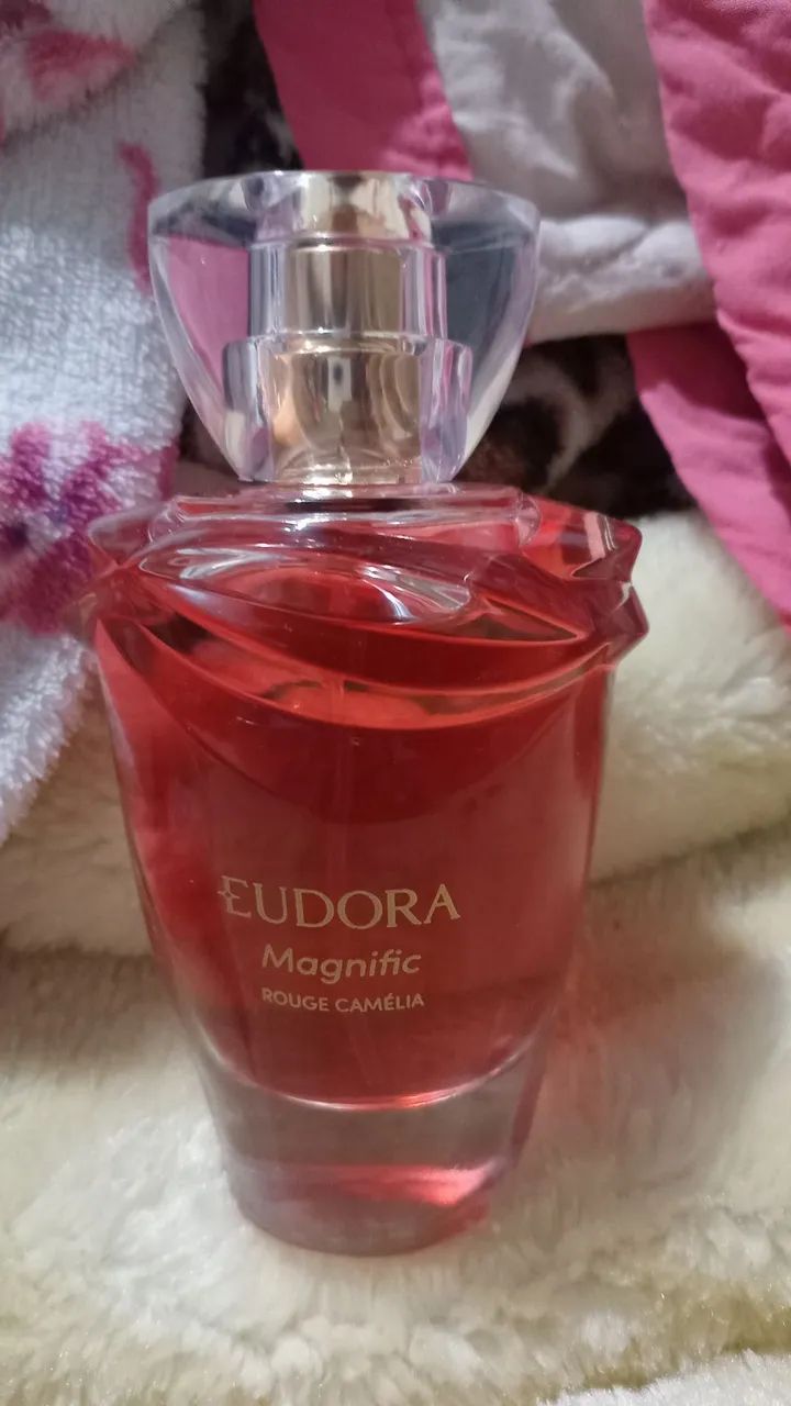 Eudora 70.00 - Foto 3