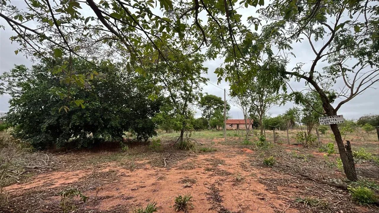 CÓD. 278 Chácara 7 ha | 30 km de Campo Grande