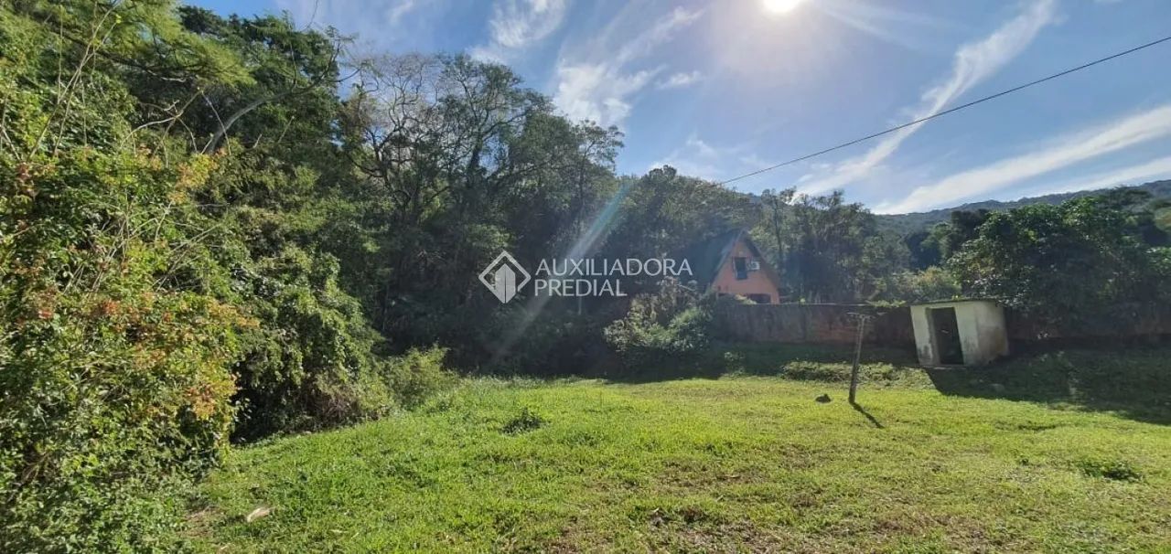 Terreno à venda em Lagoa da Conceição - Foto 4