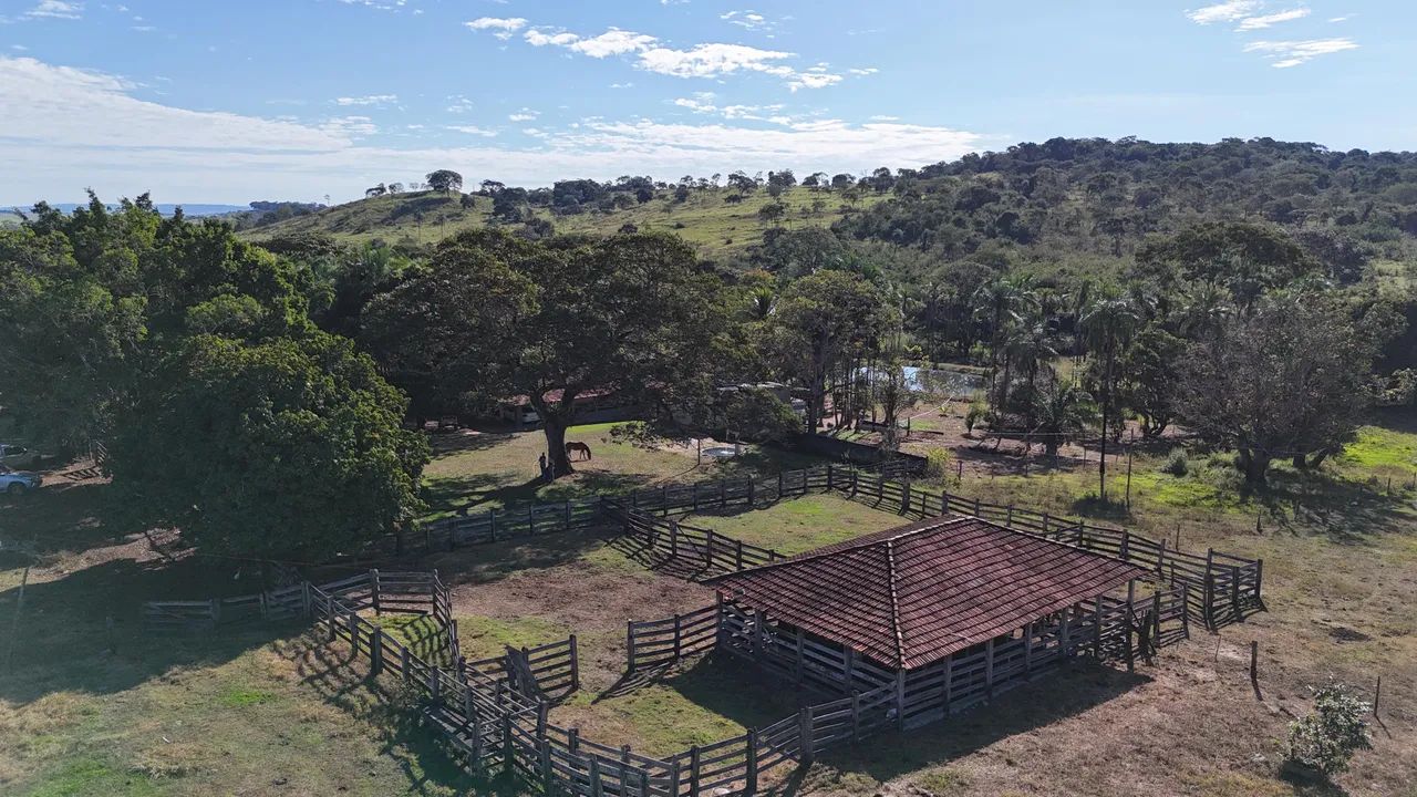 Fazenda de 31 alqueires professor jamil - Foto 3
