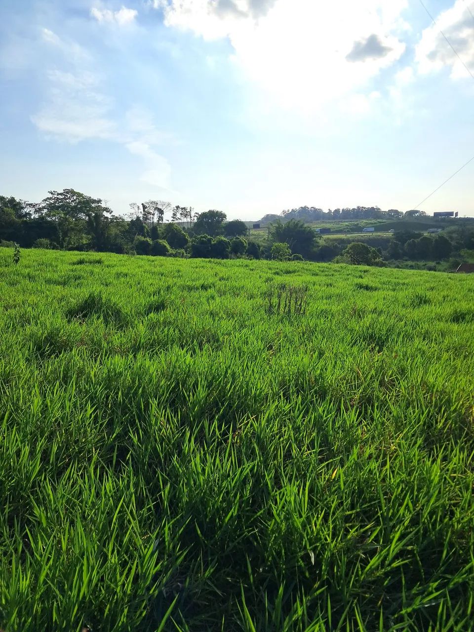Fazenda a venda  - Foto 3