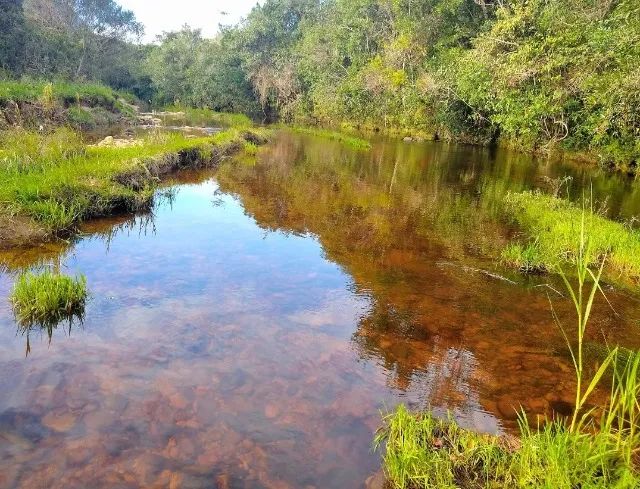 Vendo lote na Serra dos Alves tel: * - Foto 2