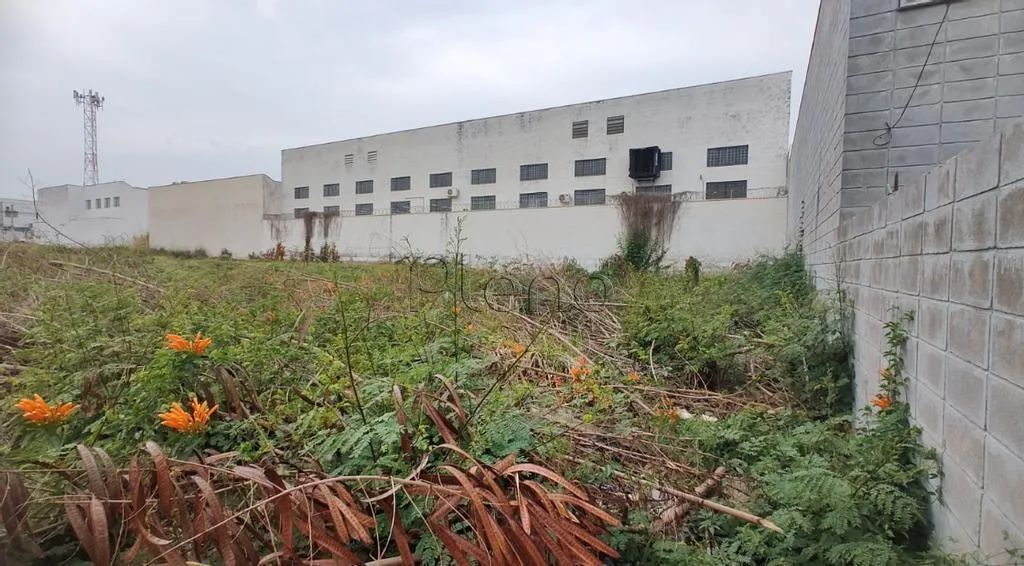 Terreno comercial à venda em Campinas, Parque Via Norte, com 250 m² - Foto 4