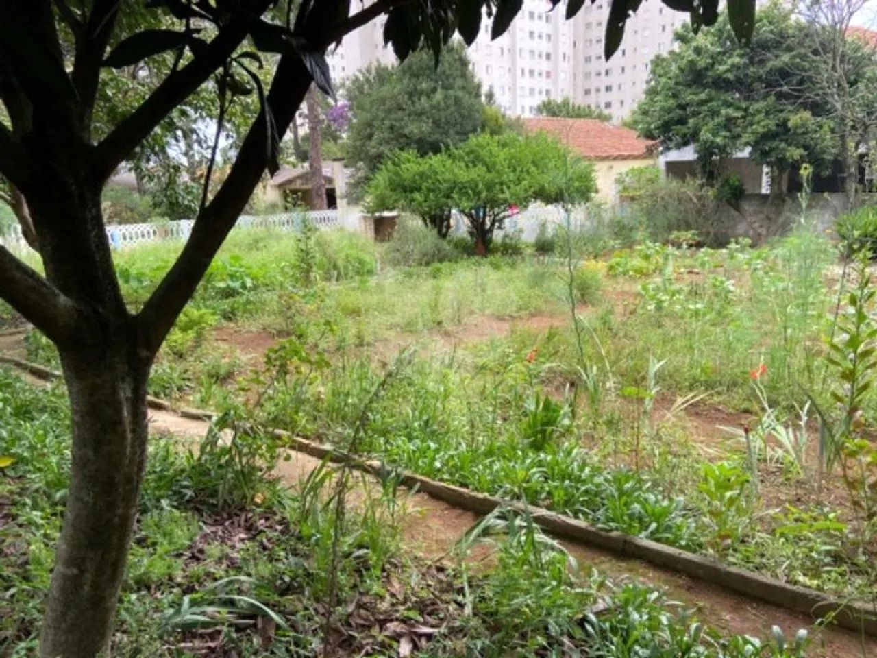Terreno à venda em Vila nova curuçá - SP - Foto 5