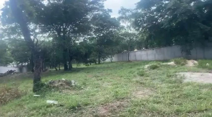 Terreno senador canedo - Foto 5