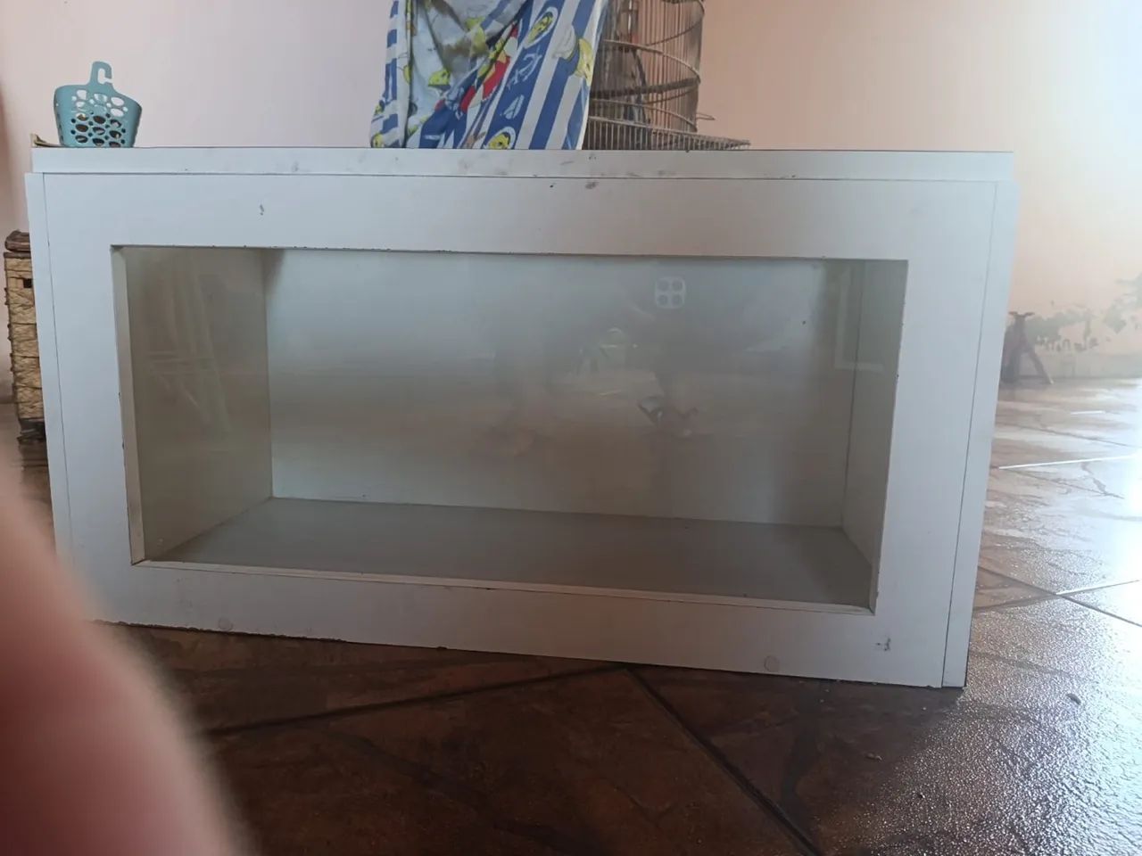 Terrário  - Foto 2