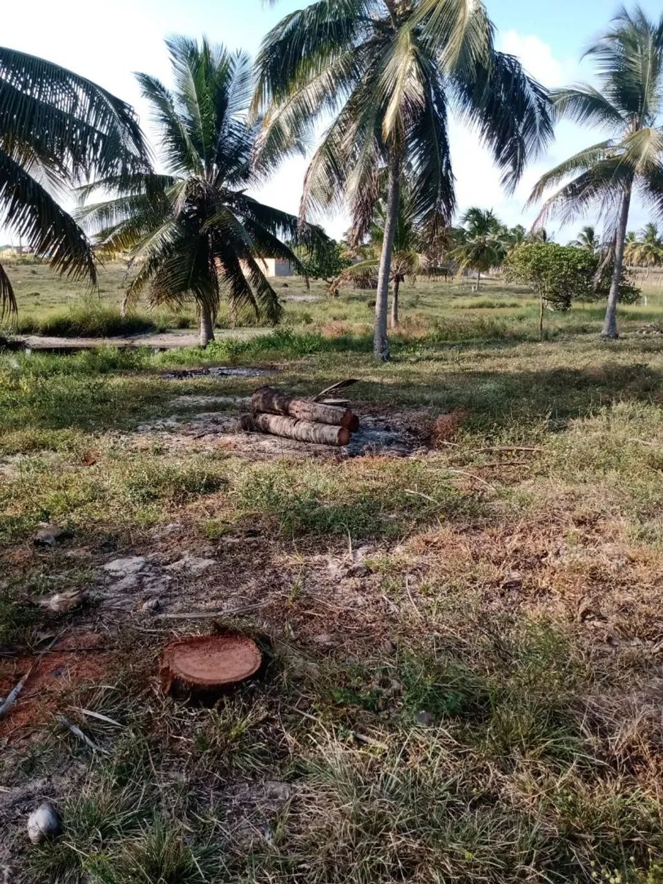 Vendo terreno  no Pontal do Peba