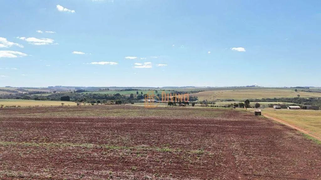 Fazenda à Venda  Itapetininga/SP - Foto 3