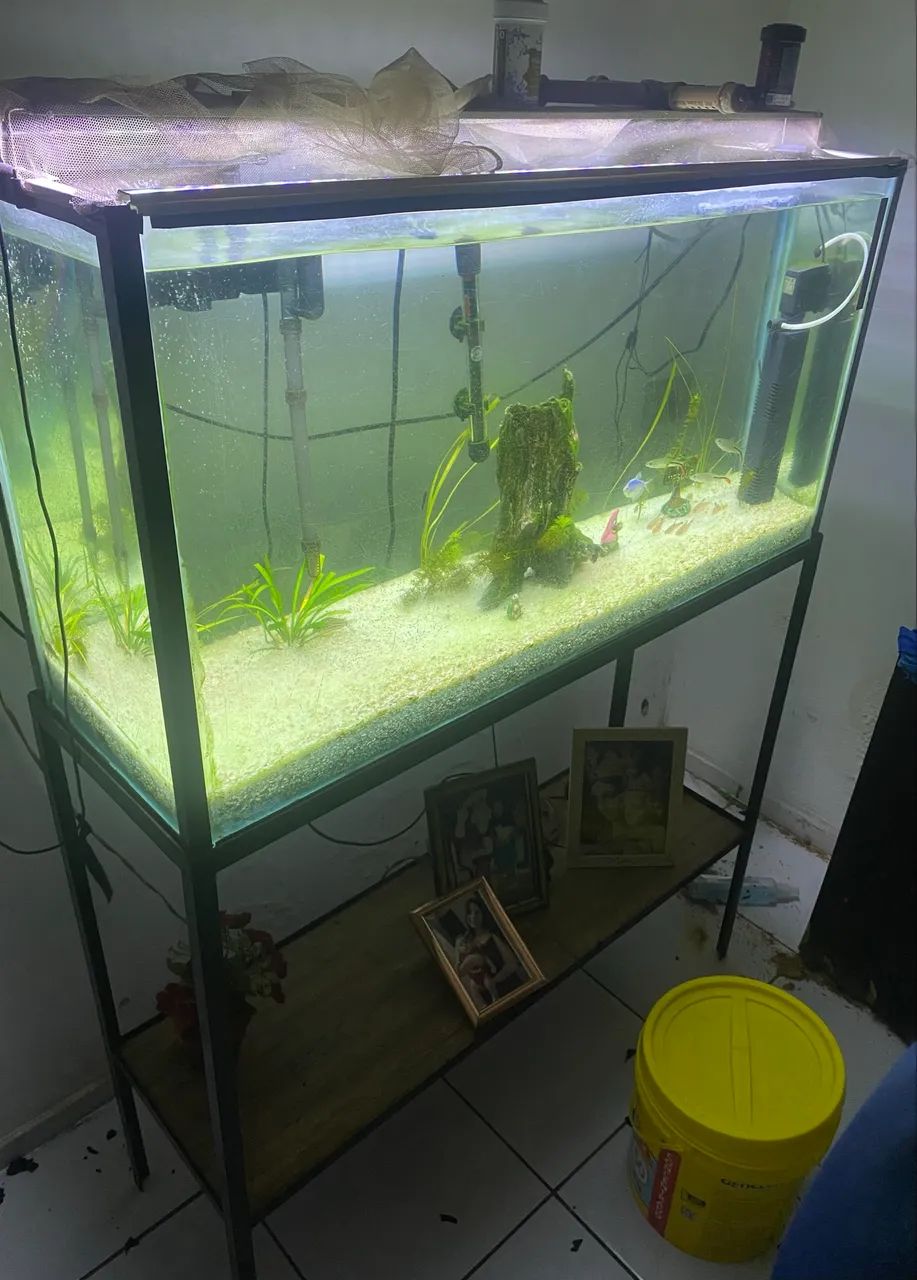 Vendo Aquário com estrutura metálica  - Foto 2