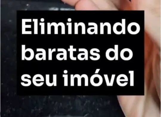 Eliminação de baratas em Goiânia 
