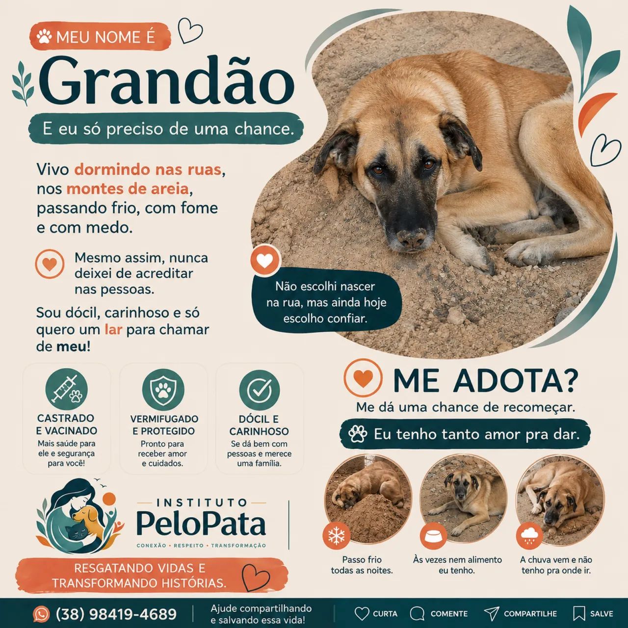 Adote!