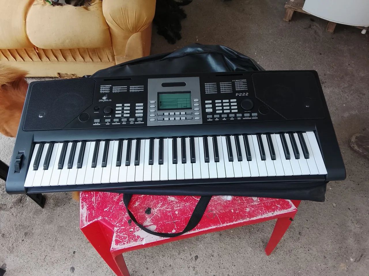 Teclado.   Pegasus.  