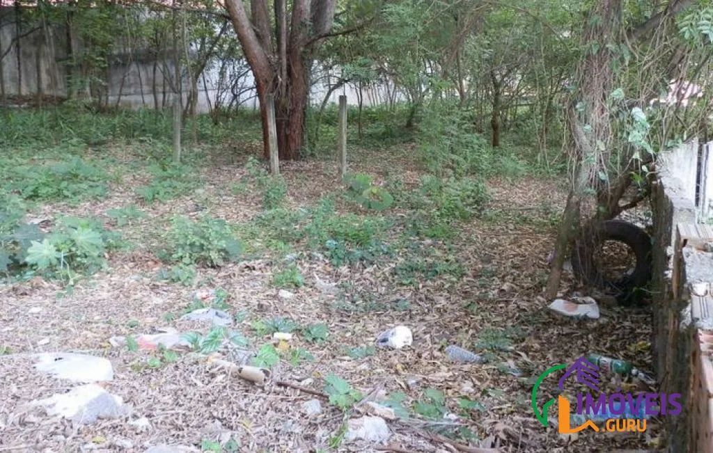 AREA - MORUMBI - SP - Foto 5
