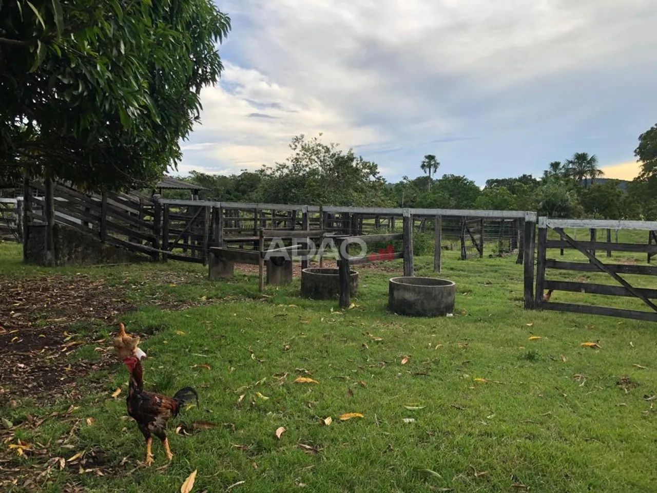Fazenda município de Crixás - Foto 5