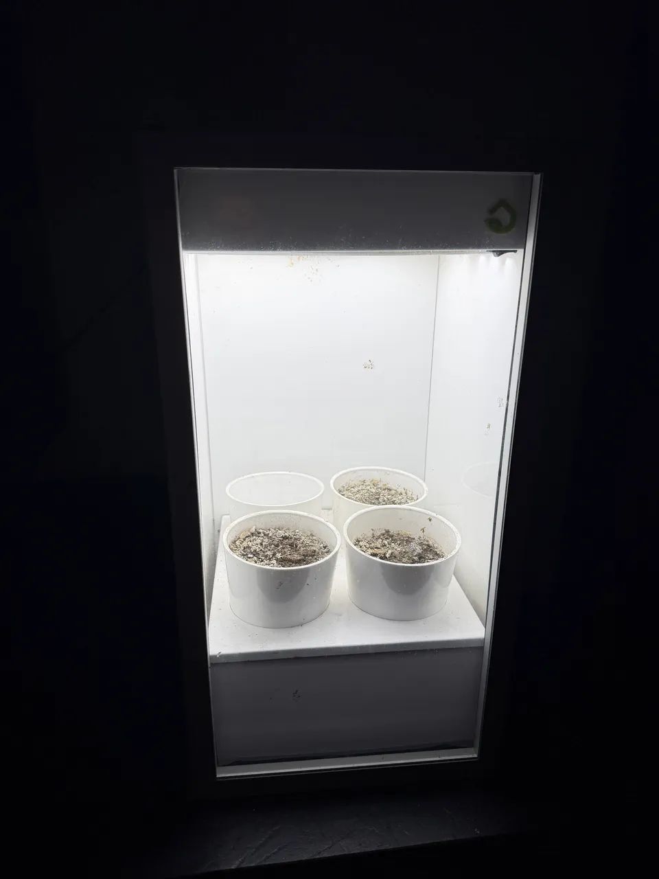 Plantario com iluminação automática  - Foto 5