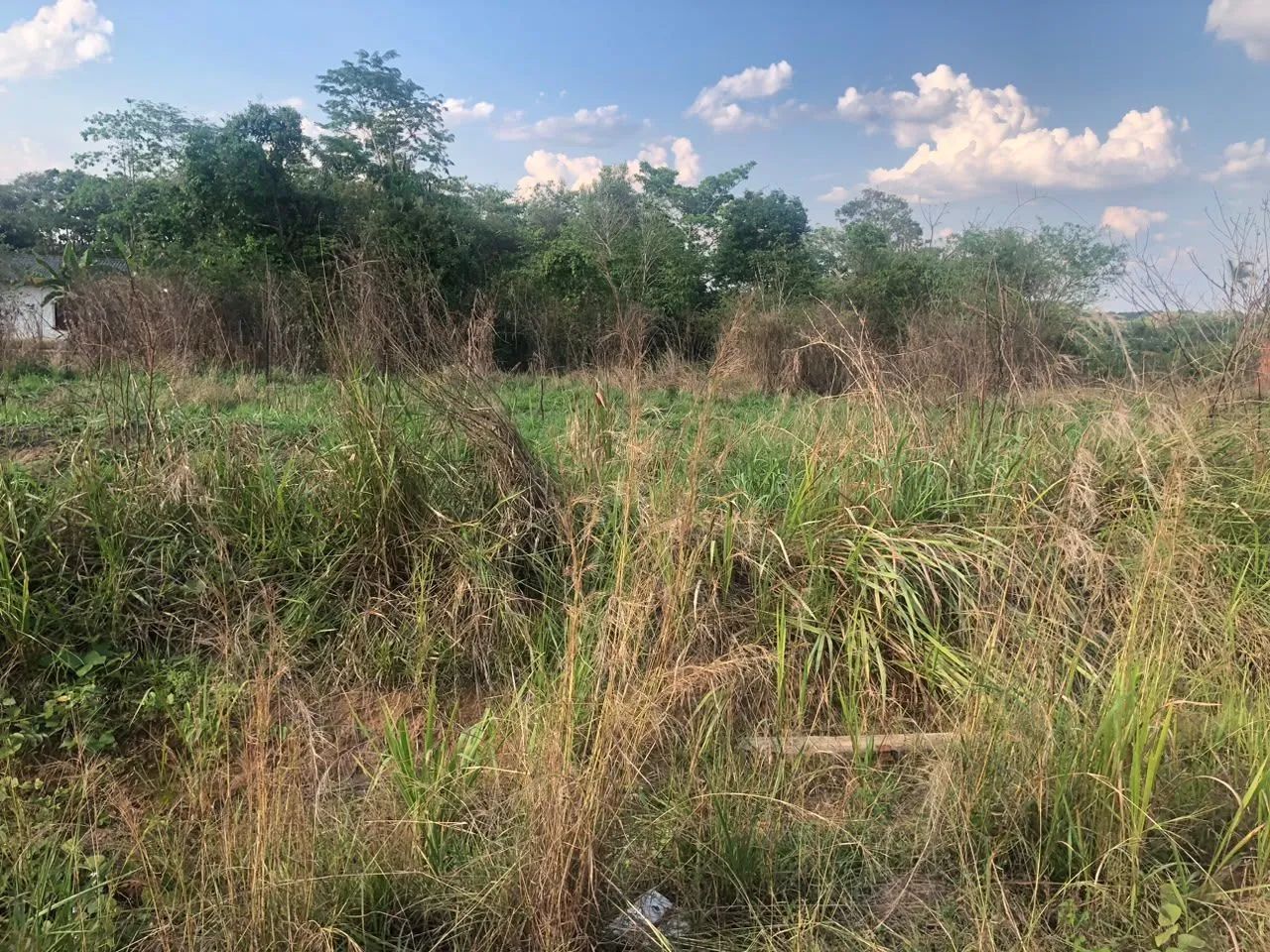 vende-se terrenos 50×50 - Foto 5