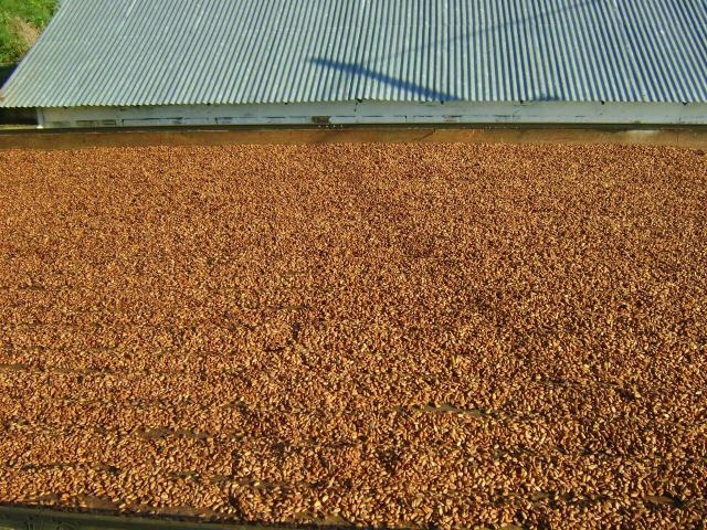Fazenda em Travessão - Foto 10