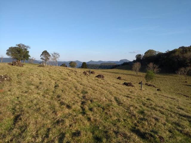 Sítio 12,0 hectares - samambaia - são francisco de paula - rs - Foto 17