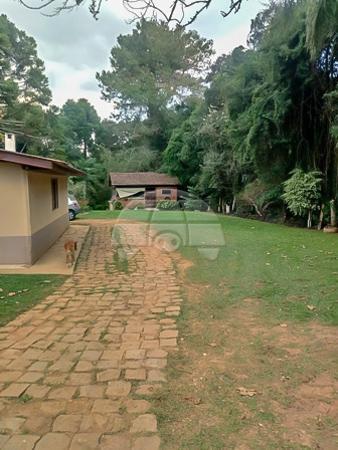 Chácara à venda em Planta laranjeiras, Piraquara cod:136698 - Foto 12