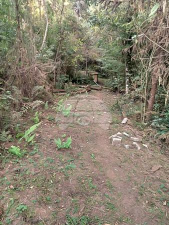 Chácara à venda em Planta laranjeiras, Piraquara cod:136698 - Foto 18