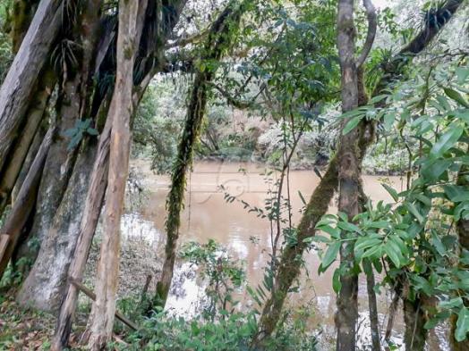 Chácara à venda em Picassinho, Piên cod:136674 - Foto 18