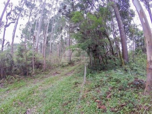 Chácara à venda em Picassinho, Piên cod:136674 - Foto 8