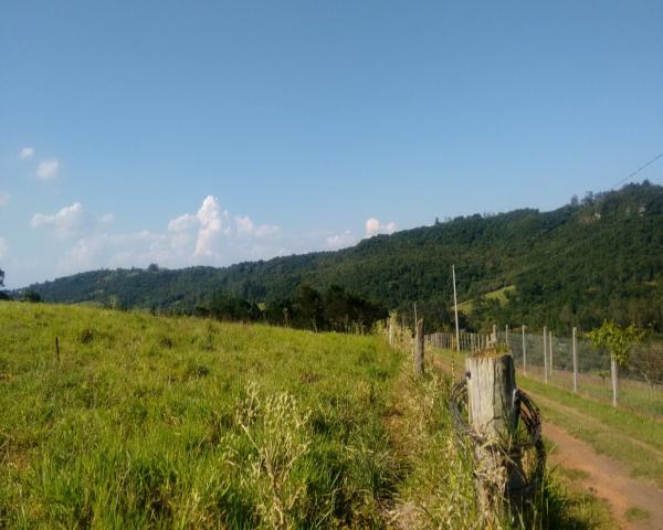 Chácara 5.000 m² - lomba grande - novo hamburgo - rs