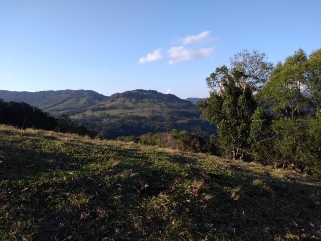 Sítio 12,0 hectares - samambaia - são francisco de paula - rs - Foto 12