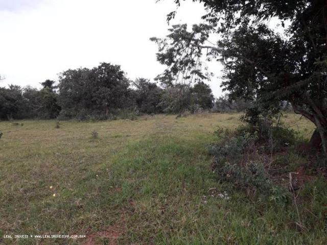 Chácara para venda em martinópolis, km 5 - Foto 4