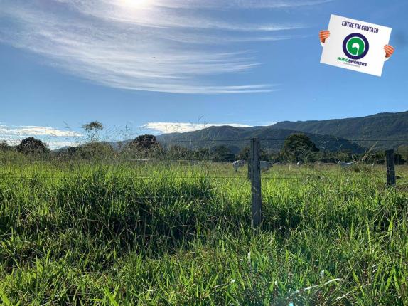 Fazenda região de rosário oeste - Foto 7
