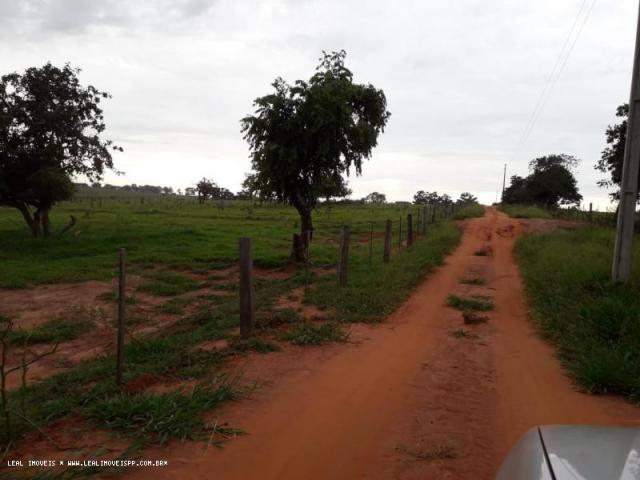 Chácara para venda em martinópolis, km 5 - Foto 15