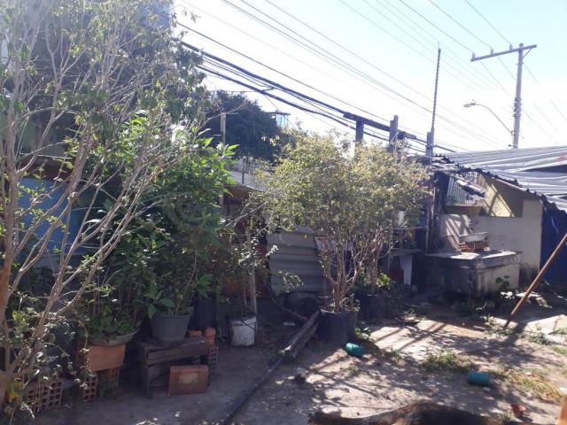 Terreno à venda em Concórdia, Belo horizonte cod:682049 - Foto 3