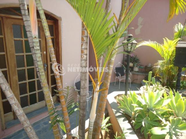 Casa à venda com 5 dormitórios em Caiçara-adelaide, Belo horizonte cod:543324 - Foto 3