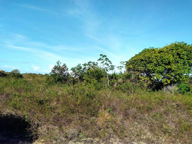 Terrenos em Nova Cabrália, áreas planas - Foto 2