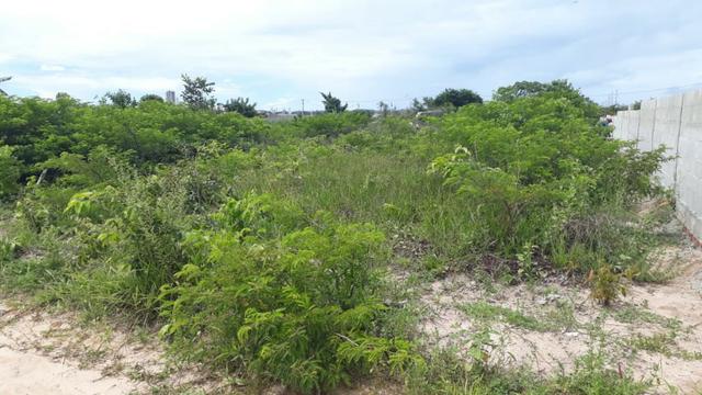2 Lotes juntos d 20x50 cd no Pq das Arvores em Nova Parnamirim - Foto 6