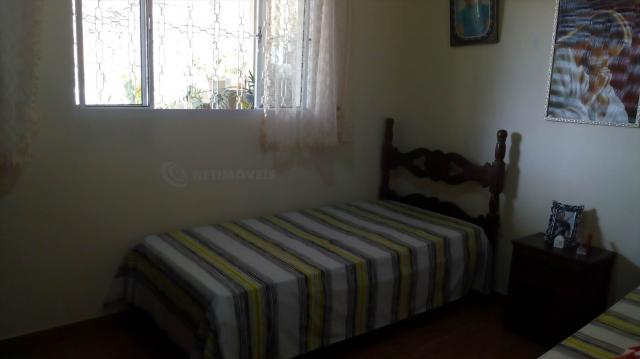 Casa à venda com 3 dormitórios em Pindorama, Belo horizonte cod:569036 - Foto 9
