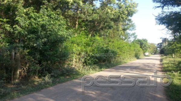 Terreno residencial à venda, novo mundo, gravataí - . - Foto 6