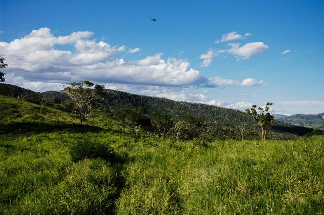 Magnífica fazenda 3.330 tarefas, a 23 km de jequié, br 116 na porta - Foto 12