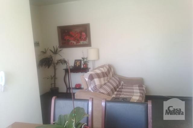 Apartamento à venda com 3 dormitórios em Jardim montanhês, Belo horizonte cod:252172 - Foto 3