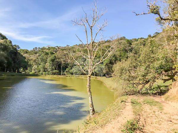 Chácara à venda em Roça velha, São josé dos pinhais cod:150582 - Foto 12