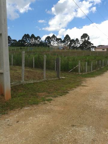 Ref. 702-1 Chácara de 2.000 m² com energia elétrica já instalado na Campina das Pedras - Foto 5
