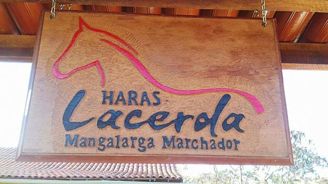 Placas artisticas madeira