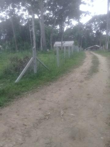 Chacrinha Próximo a Curitiba (Vendo / Troco) - Foto 4