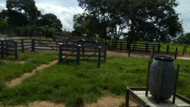 Fazenda formada, 200 hectares 100% asfaltoa Cuiabá, na BR - Foto 2