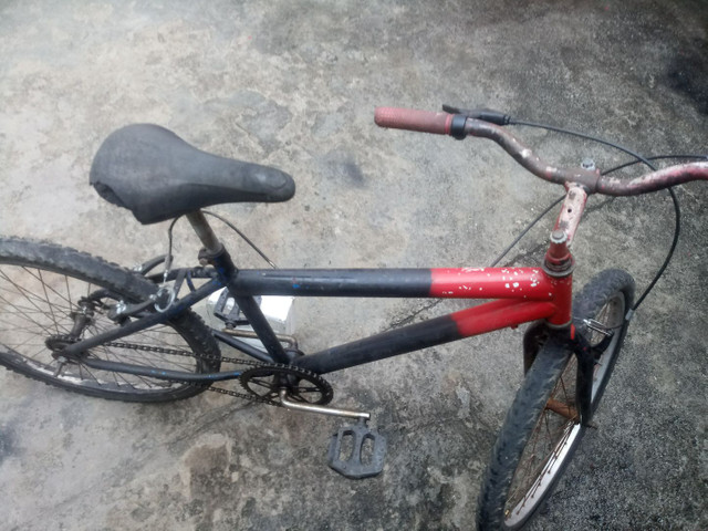 Vendo baki aro 24 - Foto 5