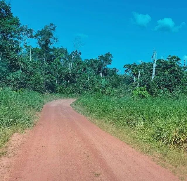 Fazenda em Rorainopolís RR 2900 hectares - Foto 4
