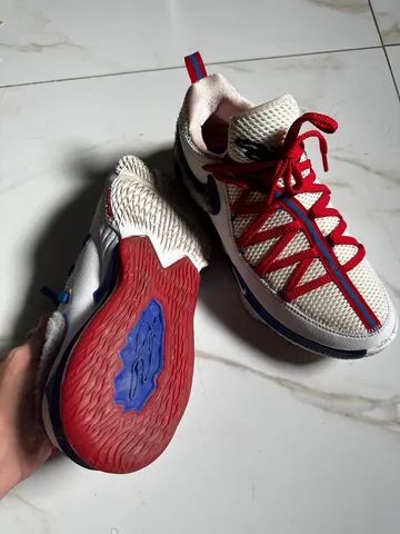 Tenis lebron xvi sales low