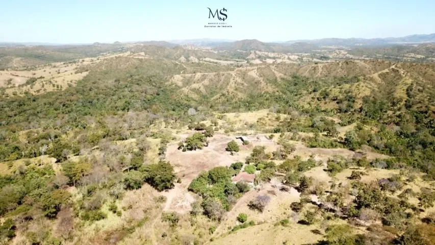 Venda Fazenda 291 hectares - Padre Bernardo- Escriturada