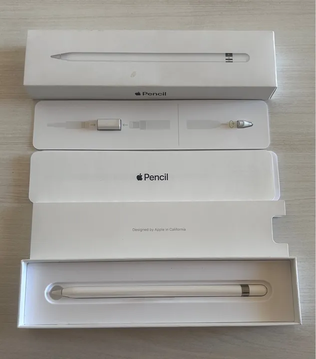 Apple Pencil 1ª Geração