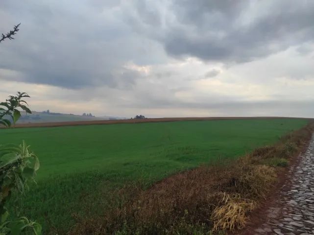 Chácara em Cascavel com valor promocional - Foto 2